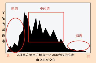 摄影直方图是什么