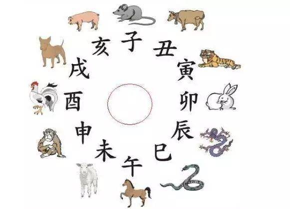 属相狗和鼠合不合