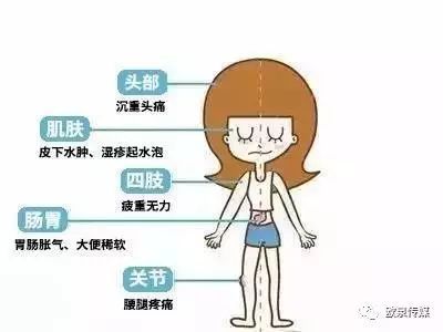 湿气大是怎么回事