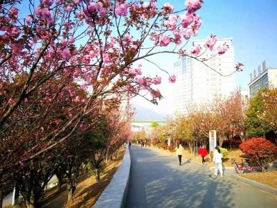 兰山公园图片