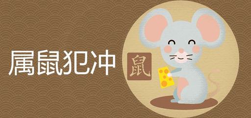 属鼠犯冲的属相