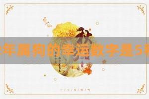 82年属狗的吉祥数字