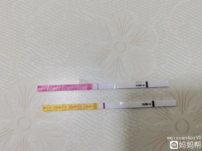 例假后多少天是排卵期