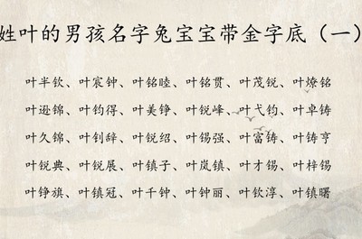 带金字旁的字男孩取名