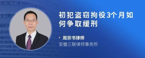 初犯盗窃怎么争取缓刑