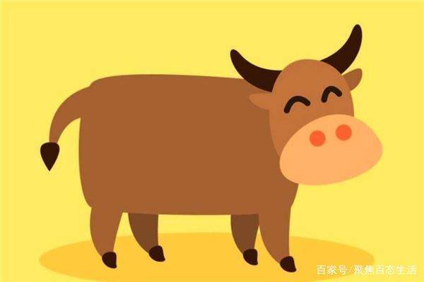 七三年属牛的是什么命
