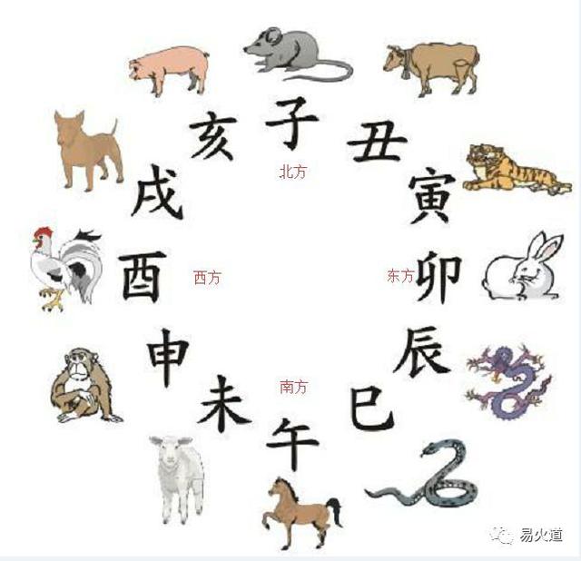 南方的生肖是什么生肖