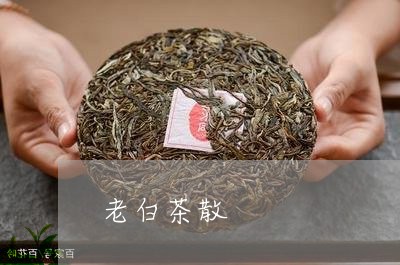 白茶鉴别