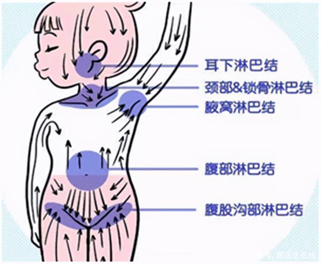 腹部淋巴结怎么治疗才能消除