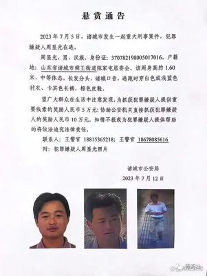 山东刑事案件