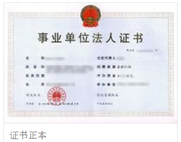 政府是法人吗