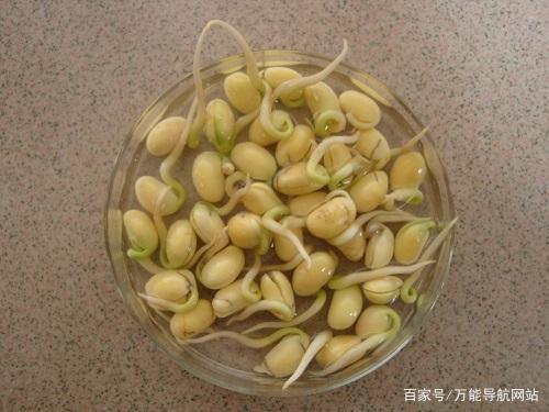 怀孕了可以吃豆芽吗