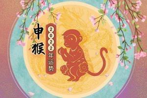 属猴五行属于什么命