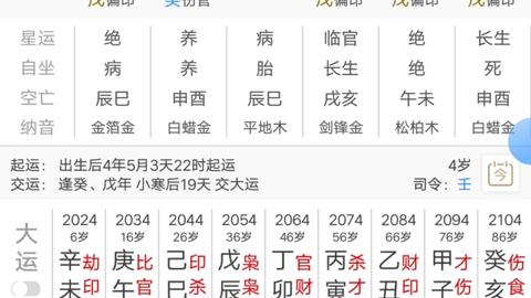 八字寅申巳亥全