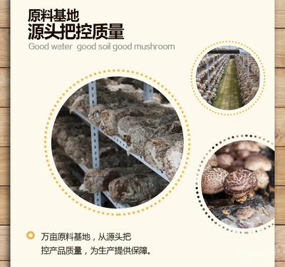 河北有卖香菇原料朩梢