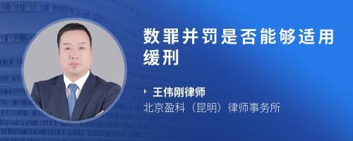 数罪并罚可以缓刑吗