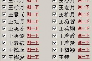 王氏名字大全男孩