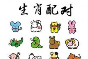 九一年属什么生肖