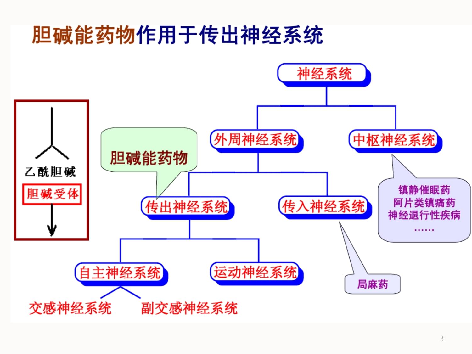 胆碱的功效与作用