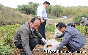 莘县张寨投资环境分析报告