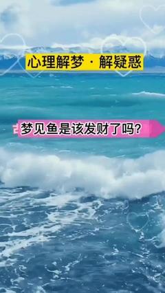 孕妇梦见大鲨鱼