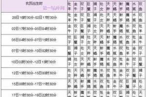 星座生肖配对查询