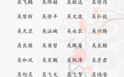 金字取名男孩