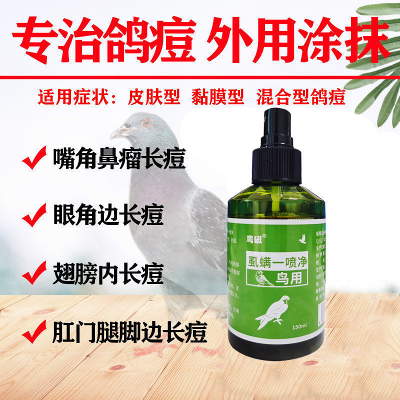 鸽子长痘怎么治疗