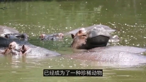 来事吐是怎么回事