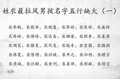 姓农男孩名字大全