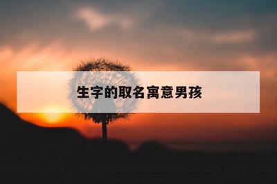 生字五行属什么