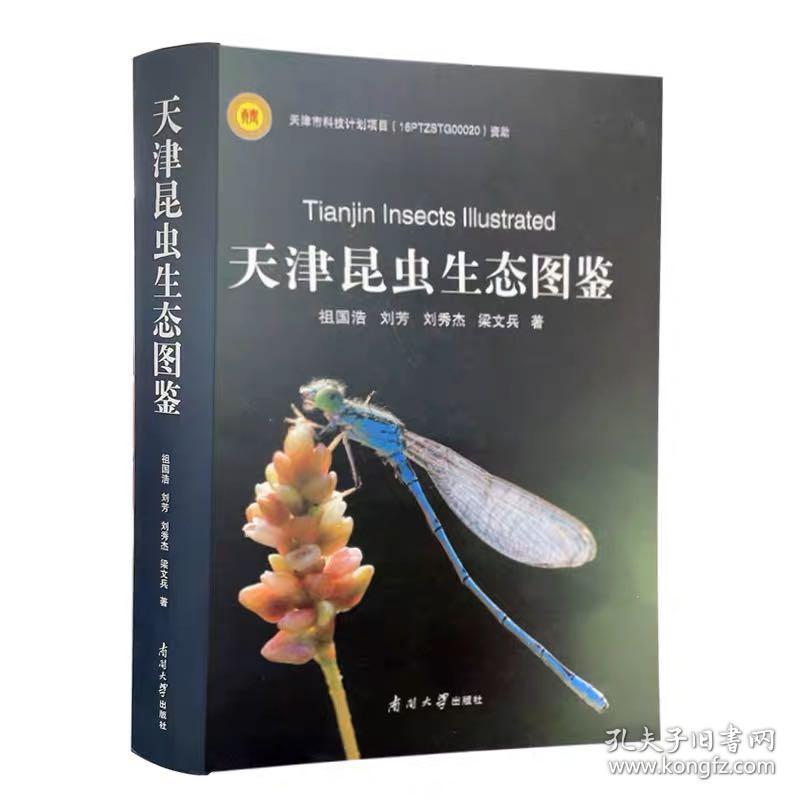 怀孕200天是几个月