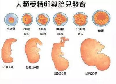 怀孕一个月多少天算