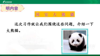 大熊猫贪玩的作文怎么写