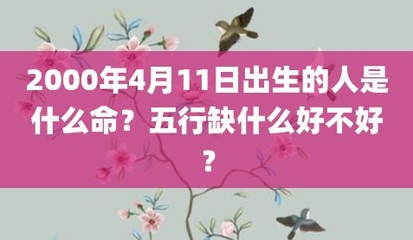 00年什么命