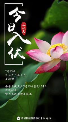 哪天入伏2020多少天