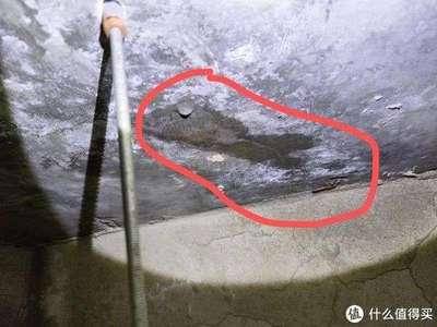 楼上漏水了楼下吊顶会裂缝