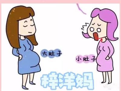 一般怀孕几个月会吐