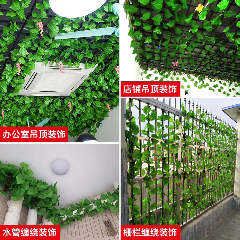 办公室吊顶植物