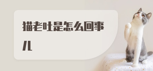 猫老吐是怎么回事