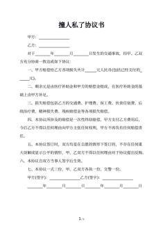 撞人后私了协议怎么写