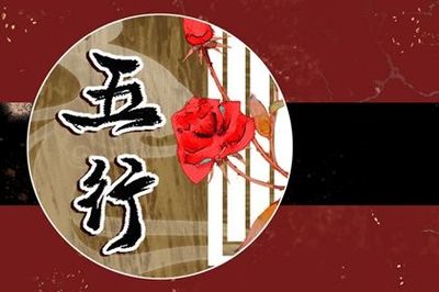 78年的马五行缺什么