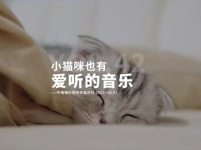 新生儿爱听的音乐