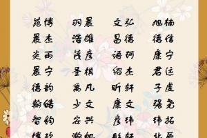 子在名字中的寓意