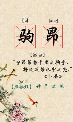 带乐字的男孩名字