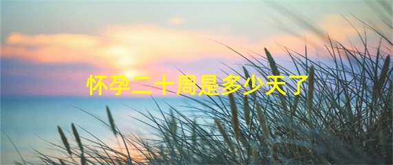 怀孕20周是多少天