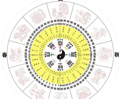 生肖对冲是什么意思