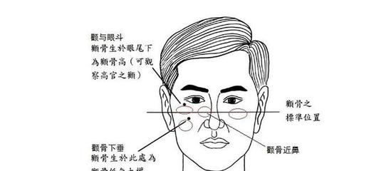 颧骨面相分析