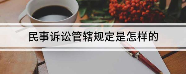 民事诉讼法21条