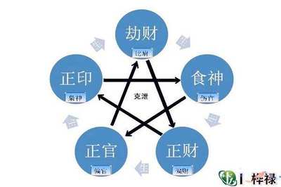 八字四柱十神详解